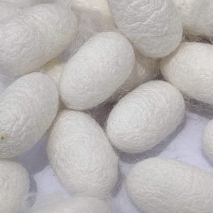 Cocoons & By-Products