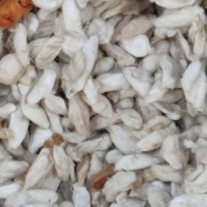 Eri Silk Cocoons