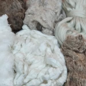 Silk Sheet