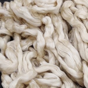Tussar Silk