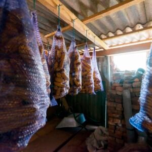 Applications of Silk Products and Noil Yarn in Global Industries