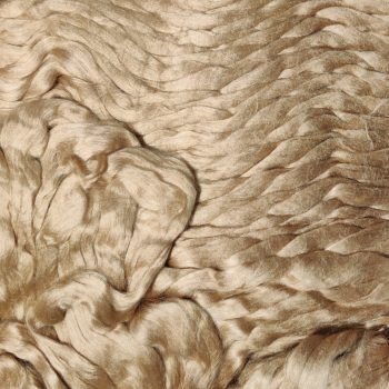 Muga Silk
